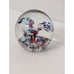 Multicolored Art Glass Flower Burst Paperweight Mazerski