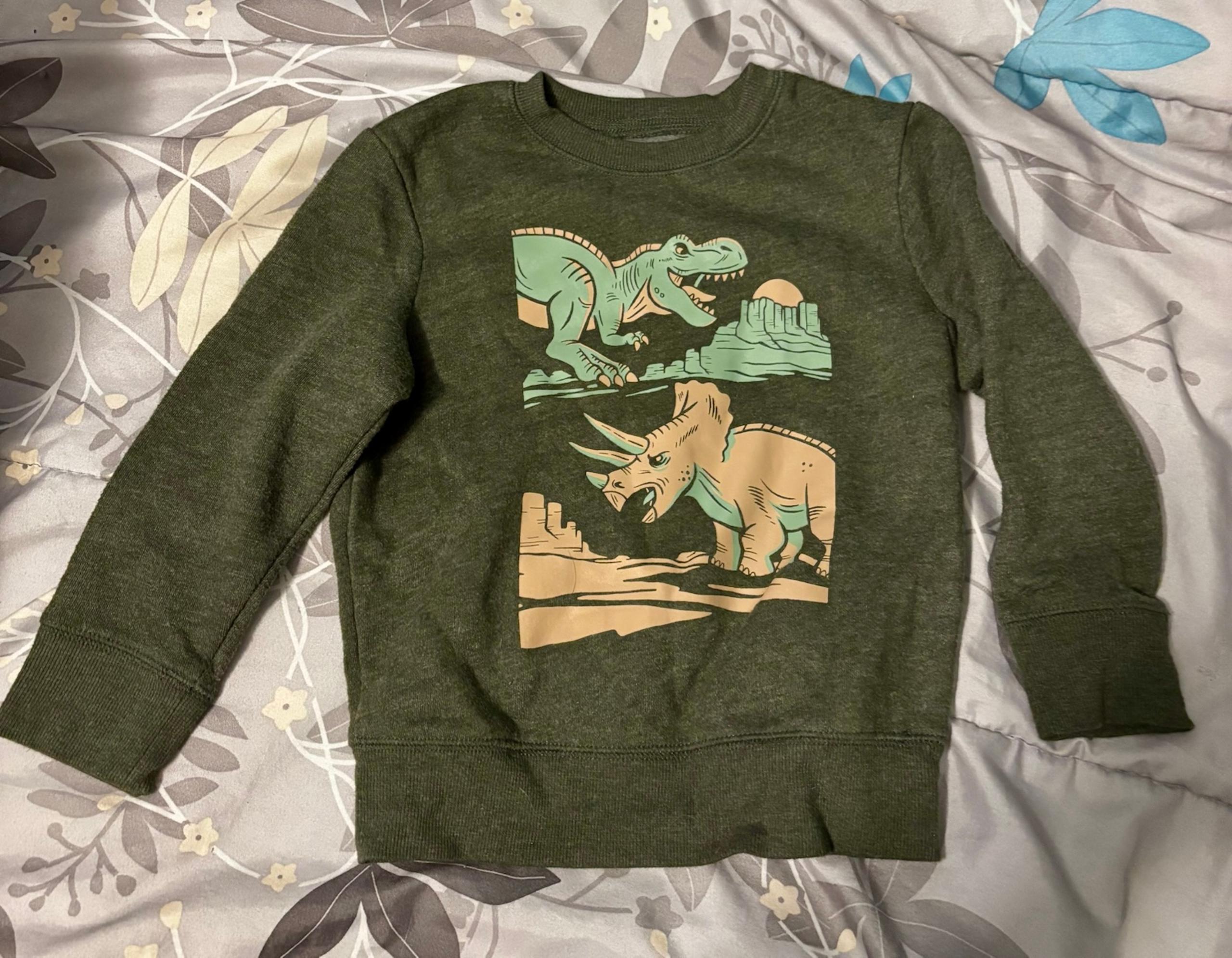 Jumping Beans toddler boy dinosaur sweatshirt