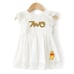 2T Winnie the Pooh Dress Lace Cotton Outfit Second Birthday Clothes Disney
