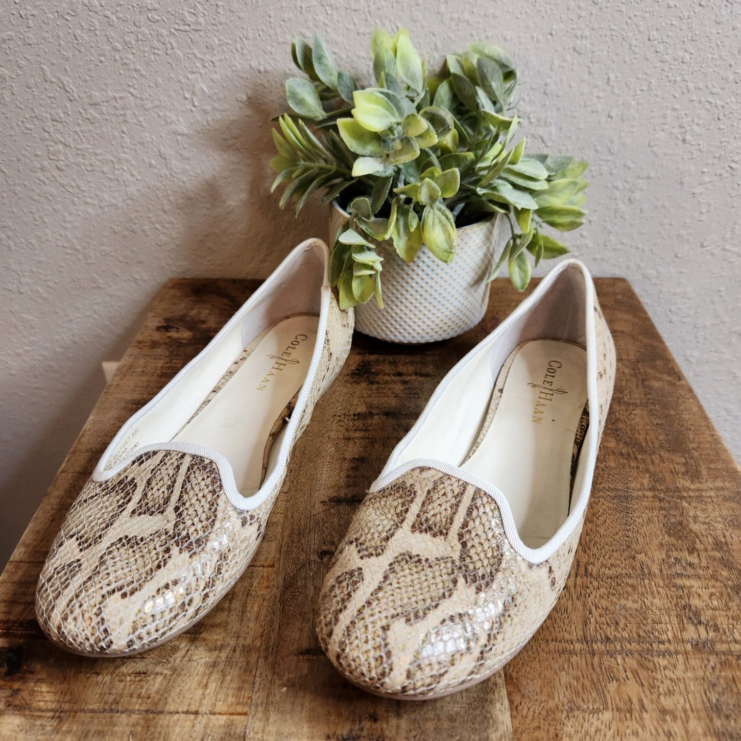 Cole Haan Size 8B Women's Morgan Snake Print Slip On Flats