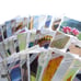 Greeting Card Lot Trader Joes Birthday Blank Thank You
