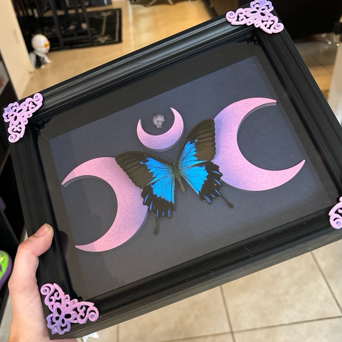Framed real blue mountain glory butterfly with amethyst crystal