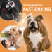 Upgraded Dog Dryer, Quick Grooming Dryer Blower Professional
