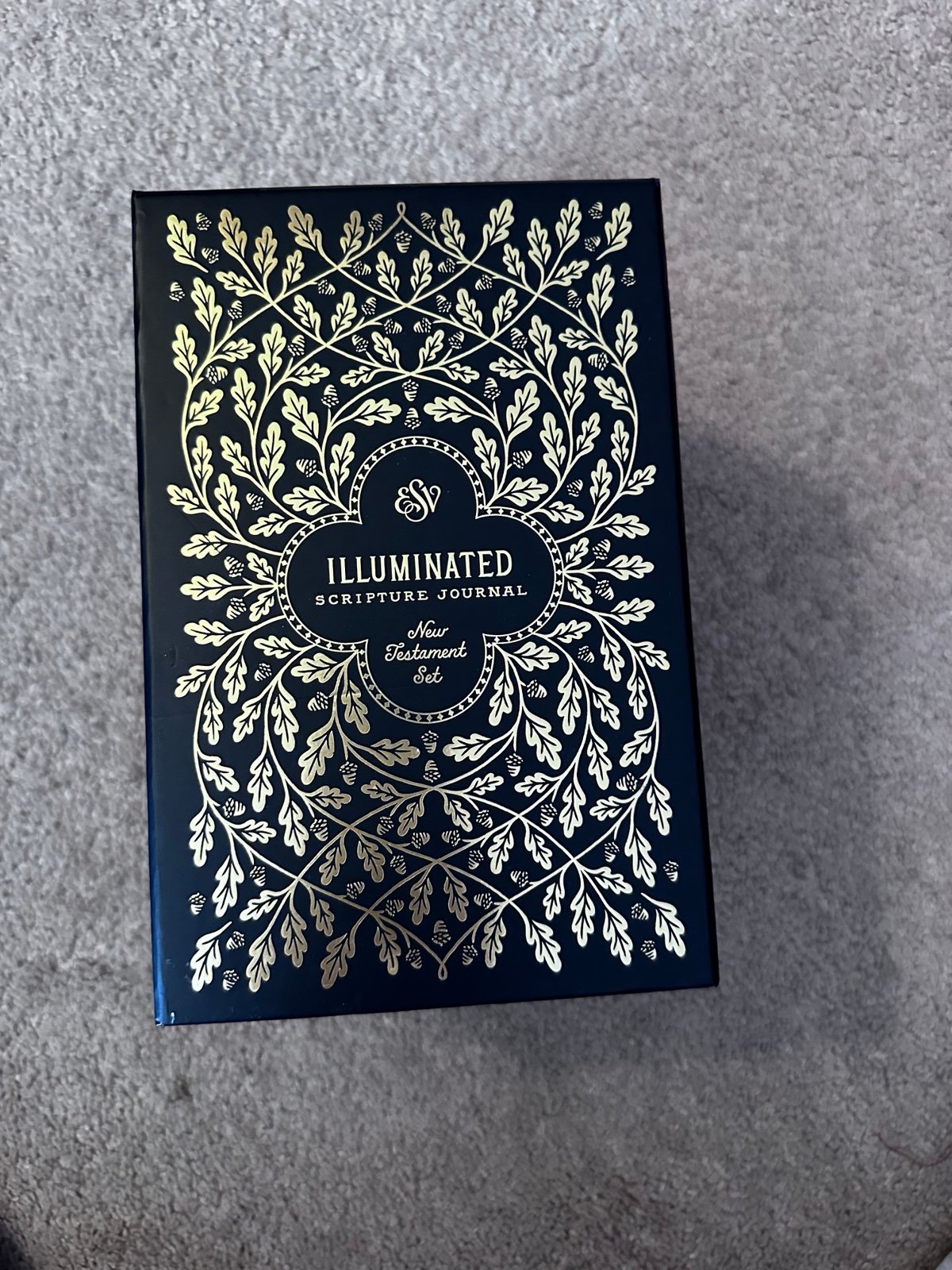 Illuminated Scripture Journal: New Testament