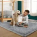 4 x 6 Ft Super Soft Rug Fluffy Non-Slip Area Rug RR