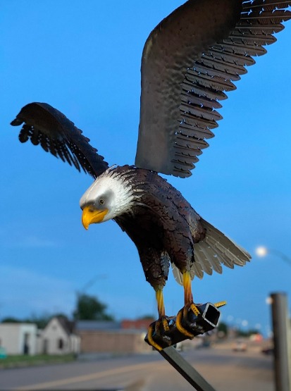 Bald Eagle Statue Outdoor Garden Sculpture Metal Yard Art Lawn Decoration