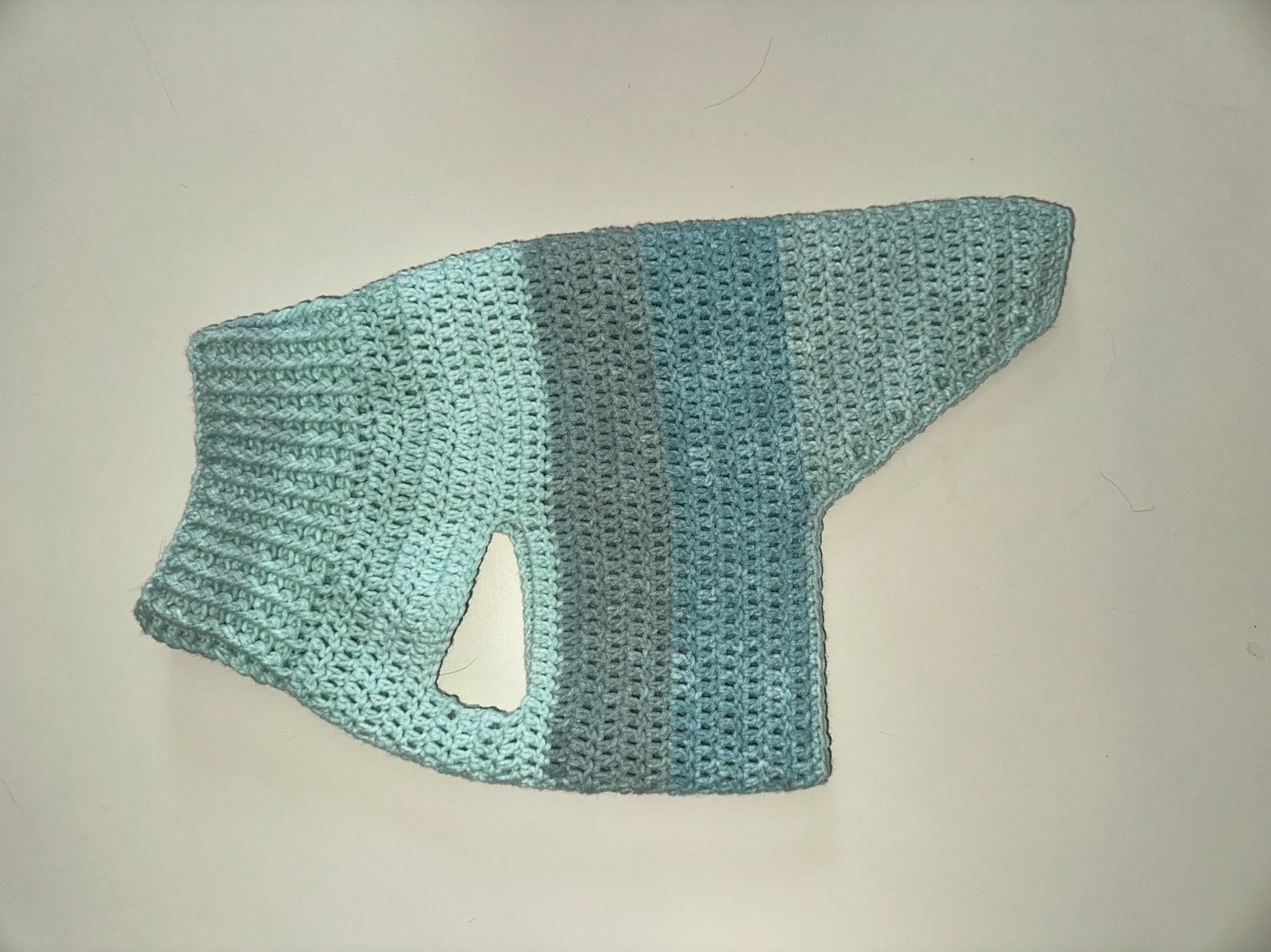 Handmade Crochet Dog Sweater