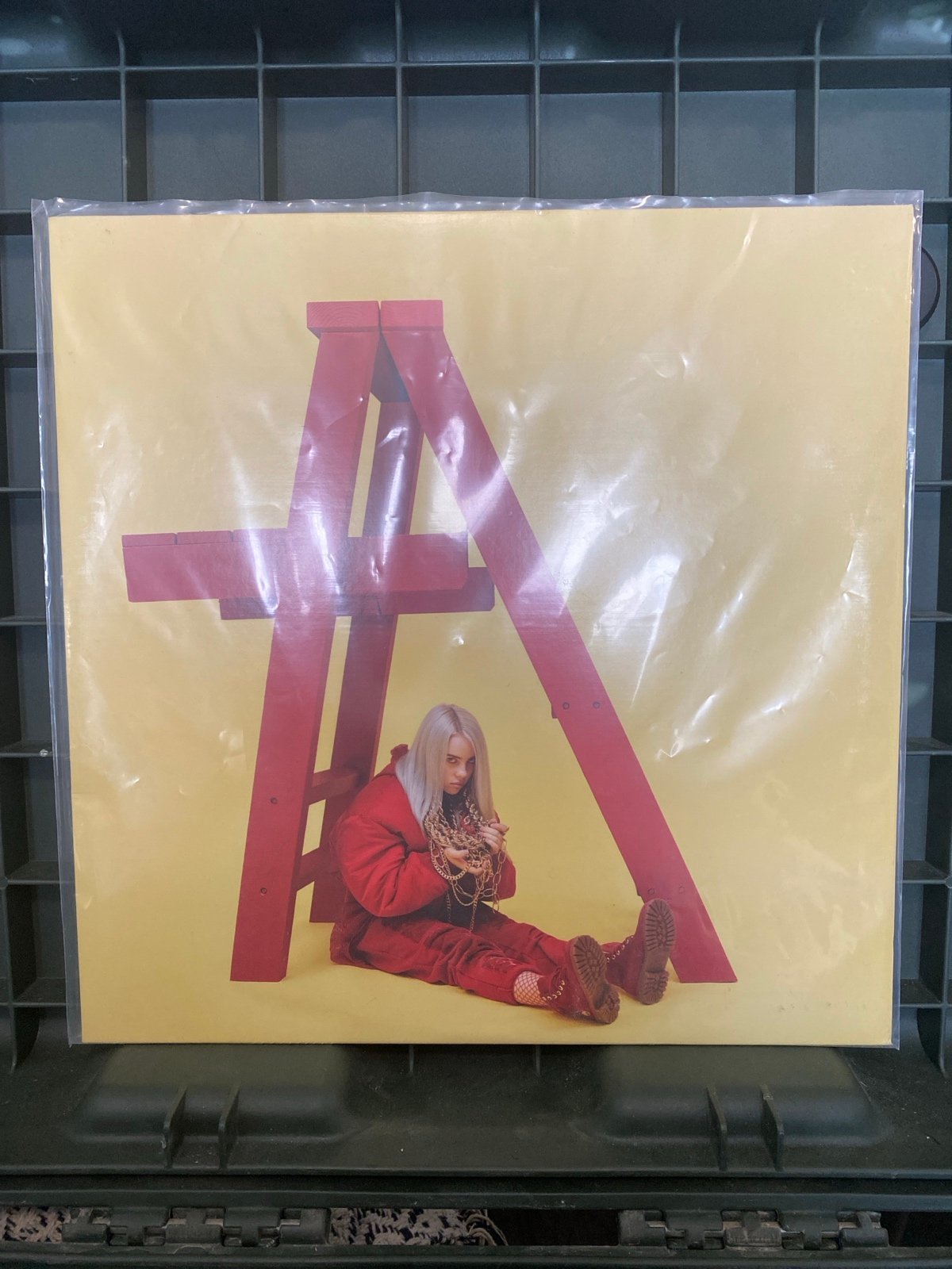 Billie Eilish - Don’t Smile at me - Vinyl Record