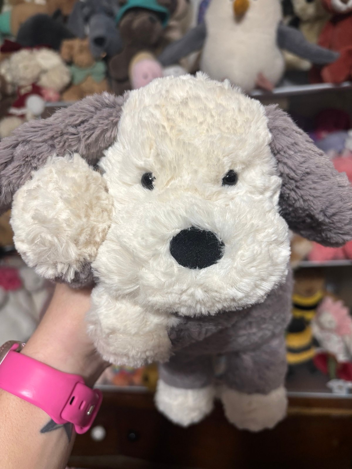 Tumblie sheep Dog