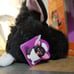 Vintage 1998 Furby Black Witch’s Cat Grey Eyes NO EYELASHES With Tag + Box