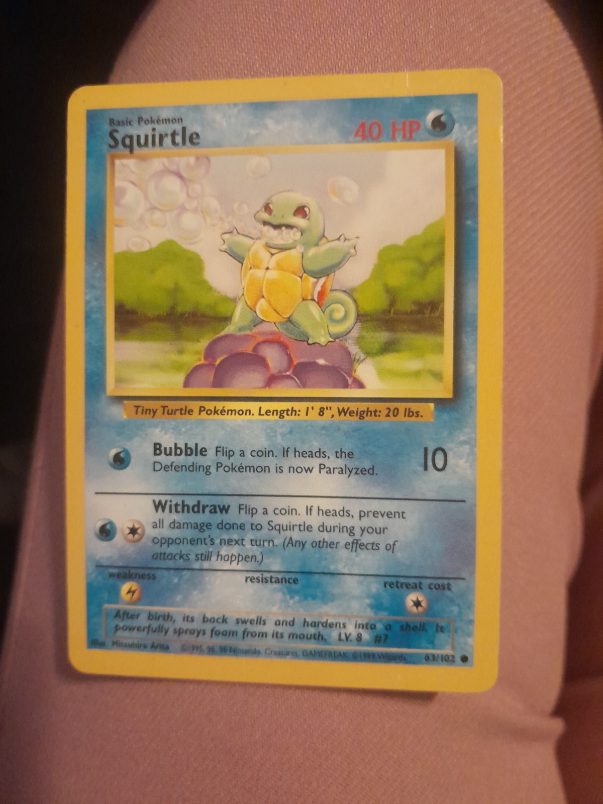 Pokemon Squirtle