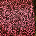 VTG TRIPP NYC Capri Pants 15 Neon Pink LEOPARD NWT HOT TOPIC Y2K PUNK capris
