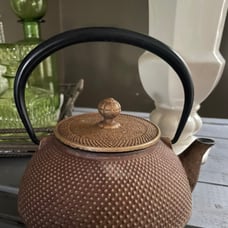 Iwachu Cast iron Japanese Teapot