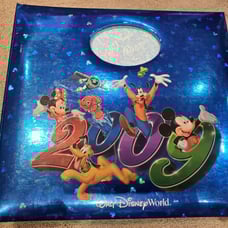 Disney photo book 2009