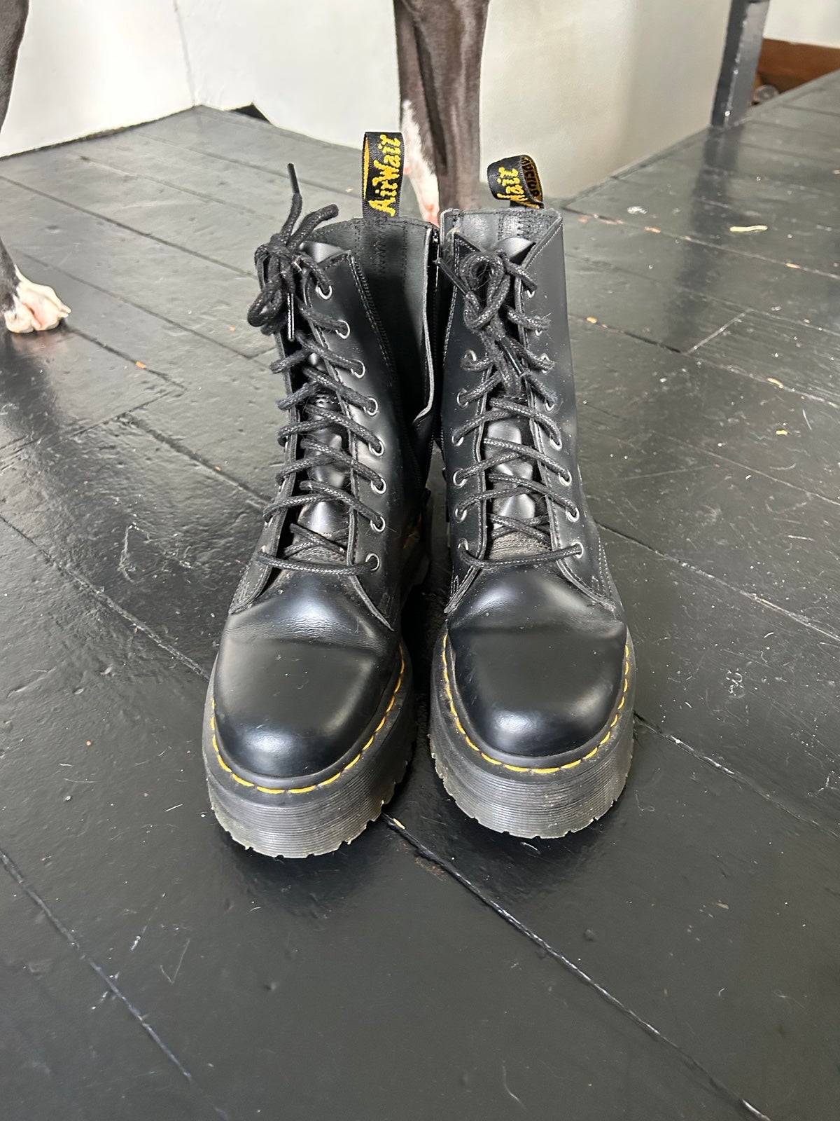 Womens Dr hotsell martens platform boots