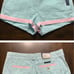 Southern Marsh shorts