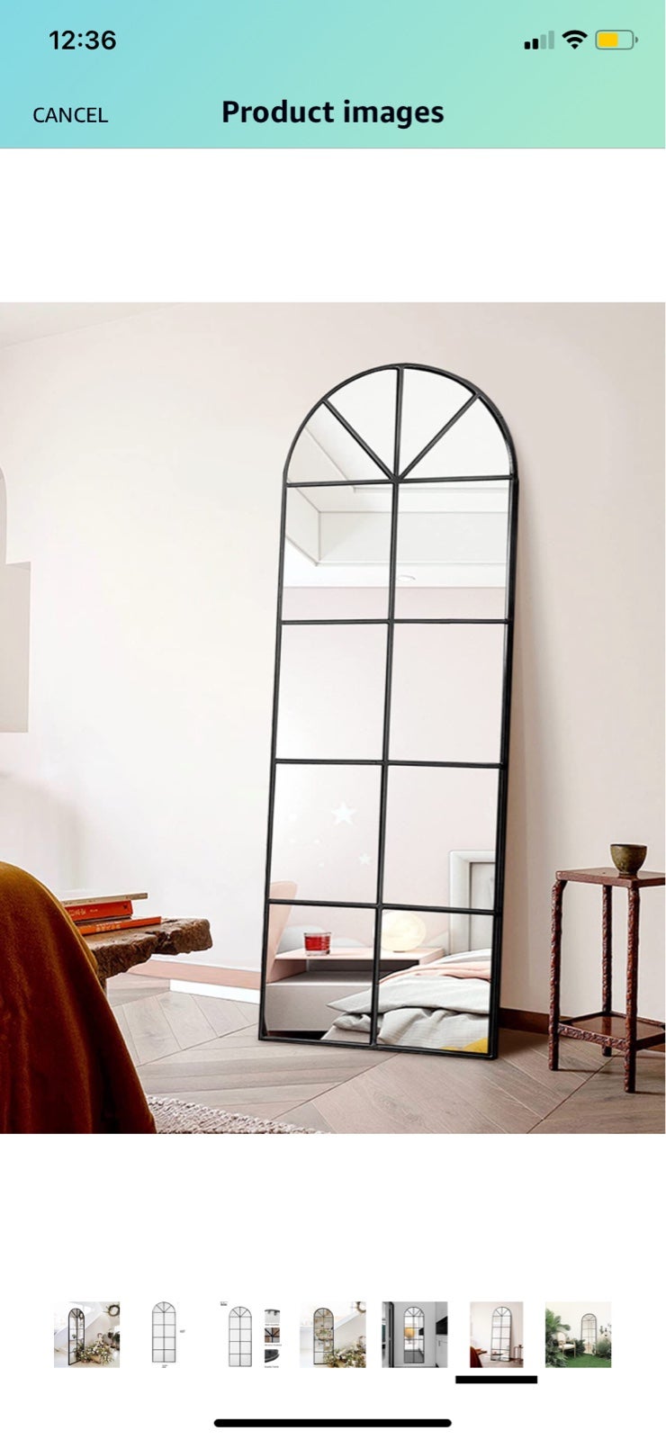 65''x22'' Arched Full Length Mirror window shops windowpane black wall Mirror Body
