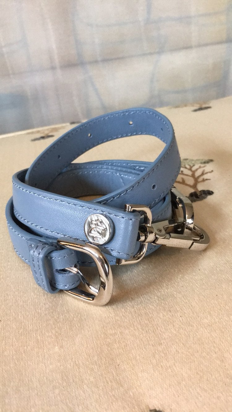 Skinny Blue Leather & Chrome Latch Belt