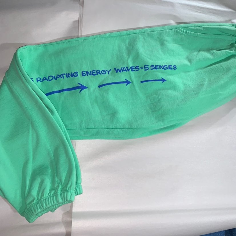 nwt BIANCA CHANDON Size L 5 senses SWEAT