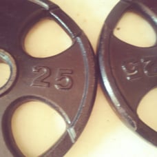 25lb plates