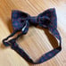 【Superb item】Errico Formicola butterfly tie for weddings