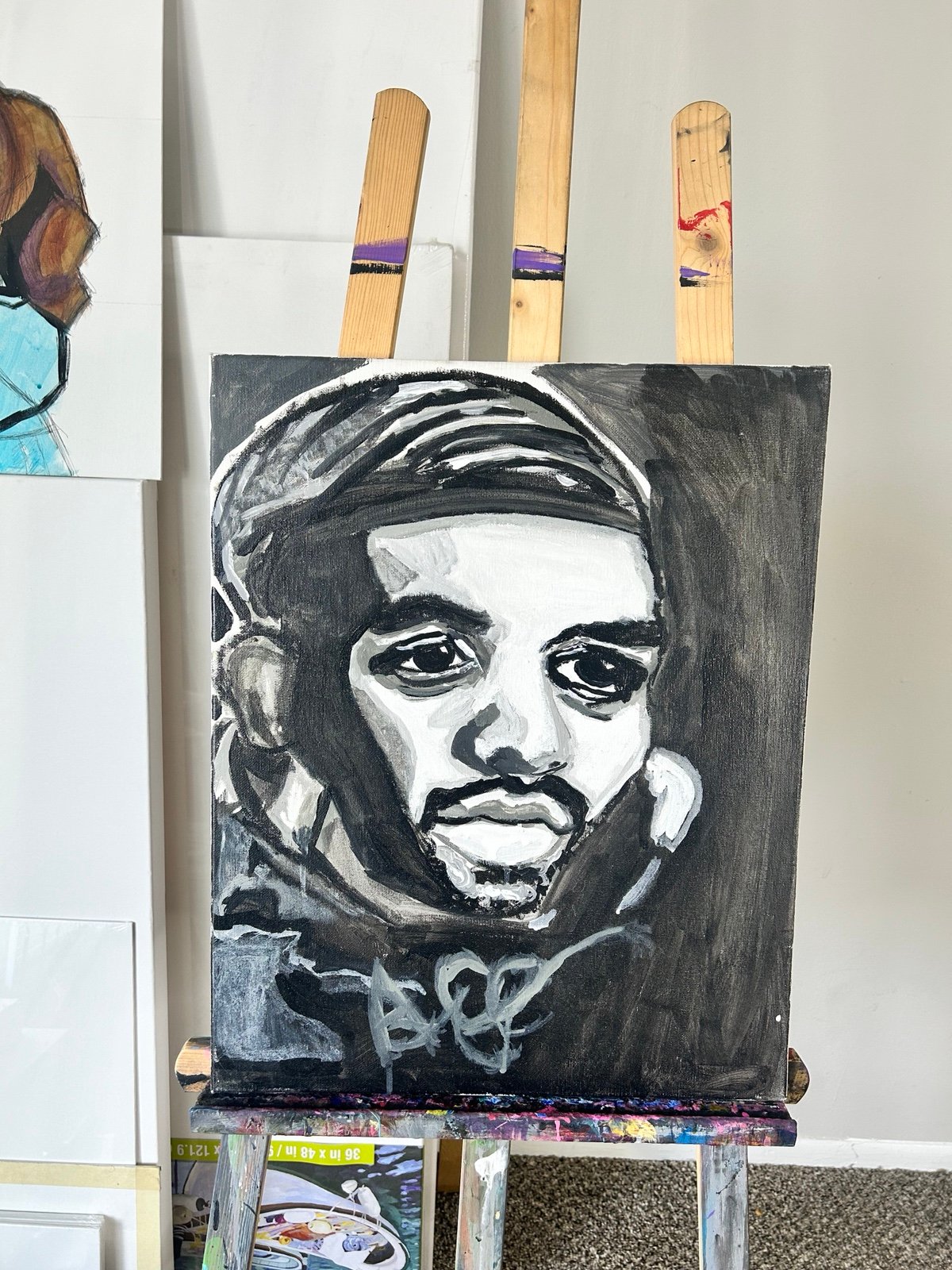 Drake painting 16x20
