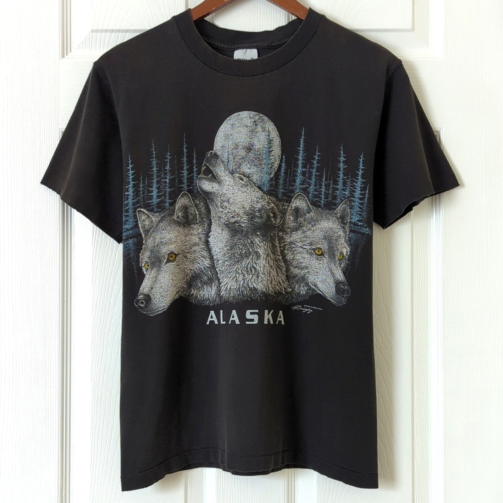 Anvil 90's Vintage Alaska Wolves Graphic Short Sleeve Crewneck T-shirt Black M