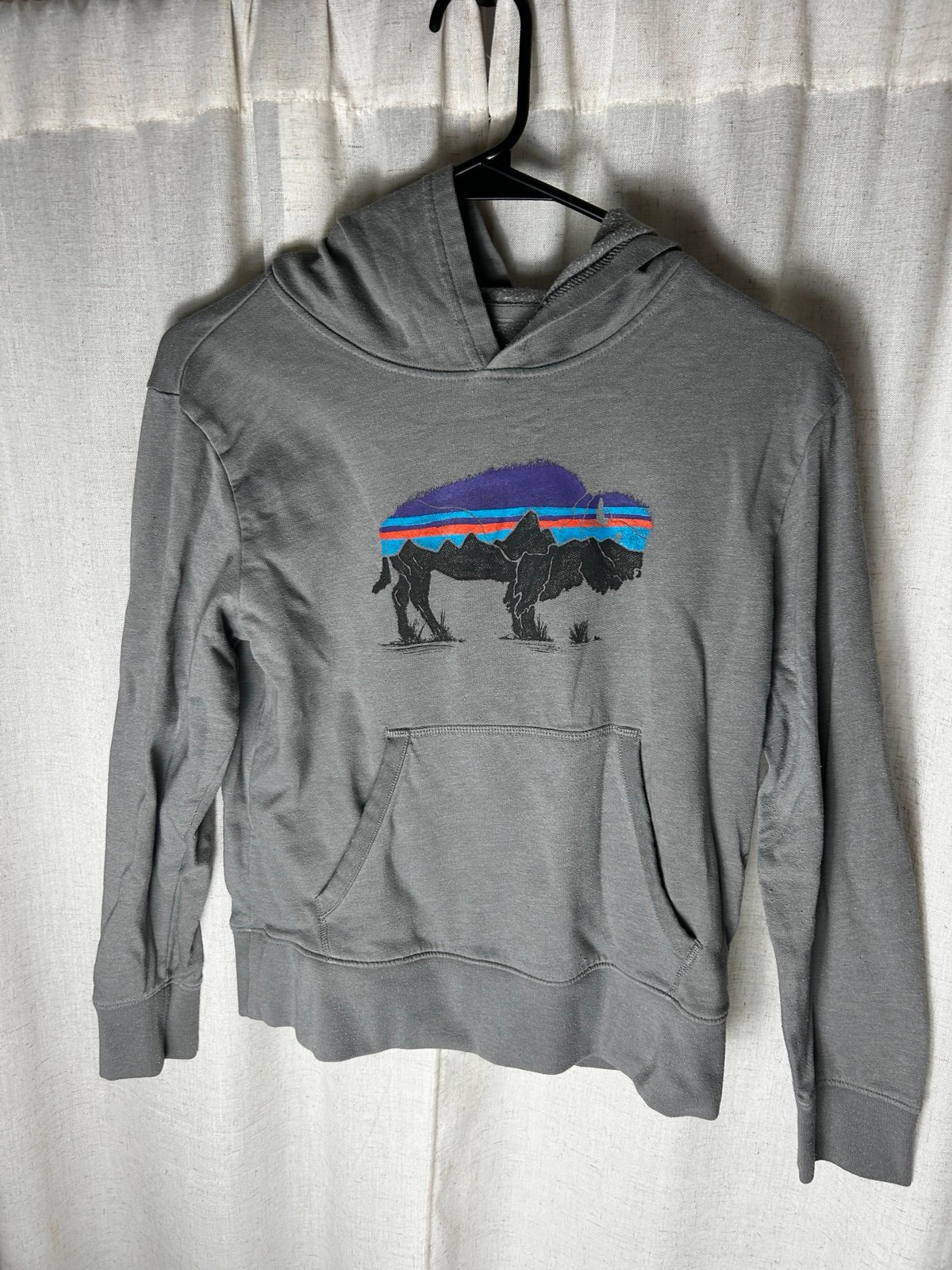 Hoodie Patagonia