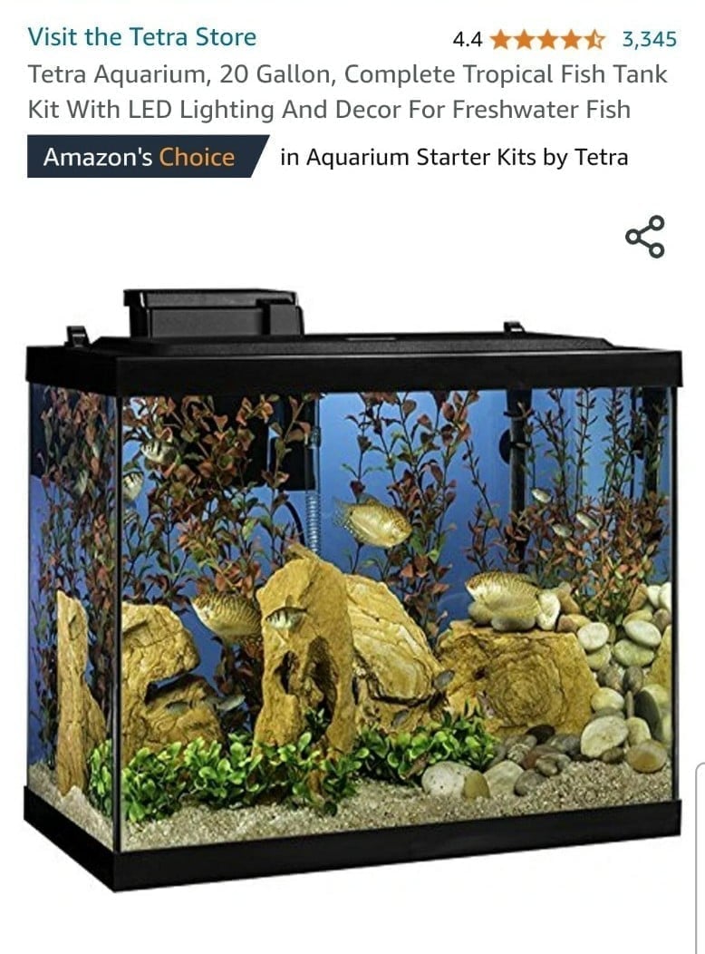 Tetra 20 Gal Fish tank