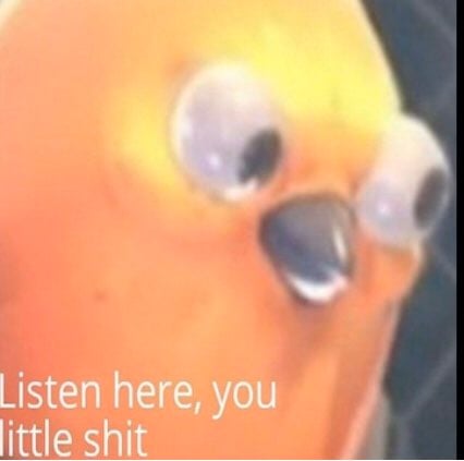 Memes