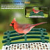 Smart bird feeder