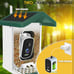 Smart bird feeder