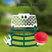 Smart bird feeder
