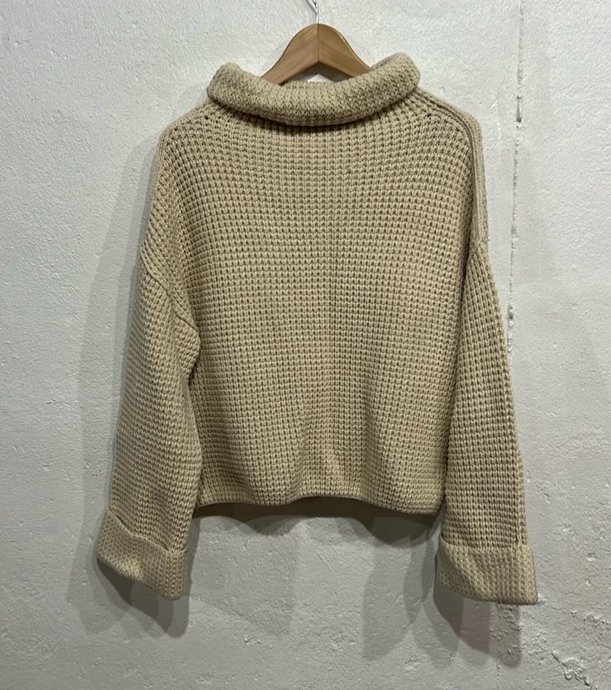 Free People Chunky Turtleneck Sweater