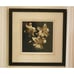 Michael Harrison Art Print Signed 3 Lillies Framed 22 Wide x 22.5 Tall EUC