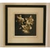 Michael Harrison Art Print Signed 3 Lillies Framed 22 Wide x 22.5 Tall EUC