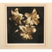 Michael Harrison Art Print Signed 3 Lillies Framed 22 Wide x 22.5 Tall EUC