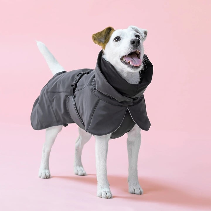 Paikka winter coat for small dogs