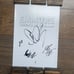 EMMURE Look At Yourself Ltd Ed Signed By All 4 RARE Poster