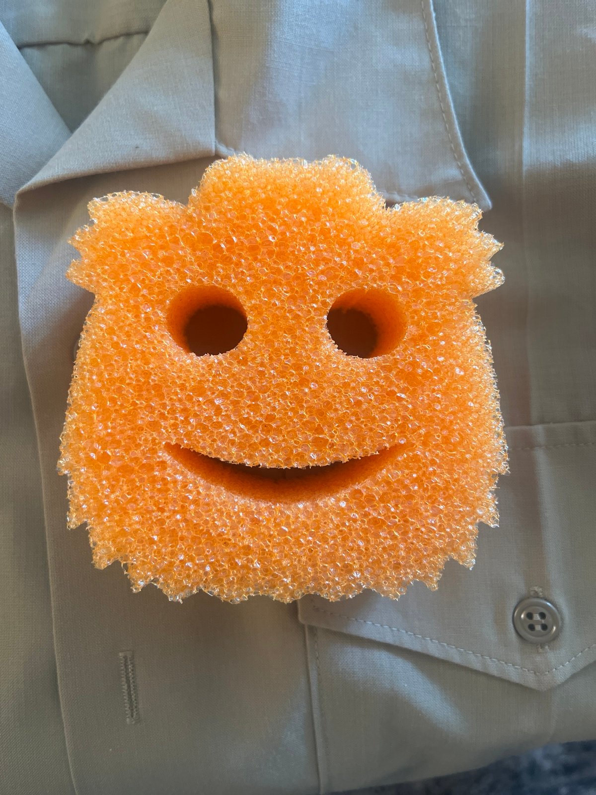 Scrub Daddy