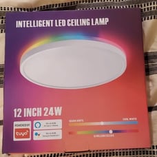 New Smart Led Ceiling Light Flush Mount, 12 Inch 24W Ceiling Light