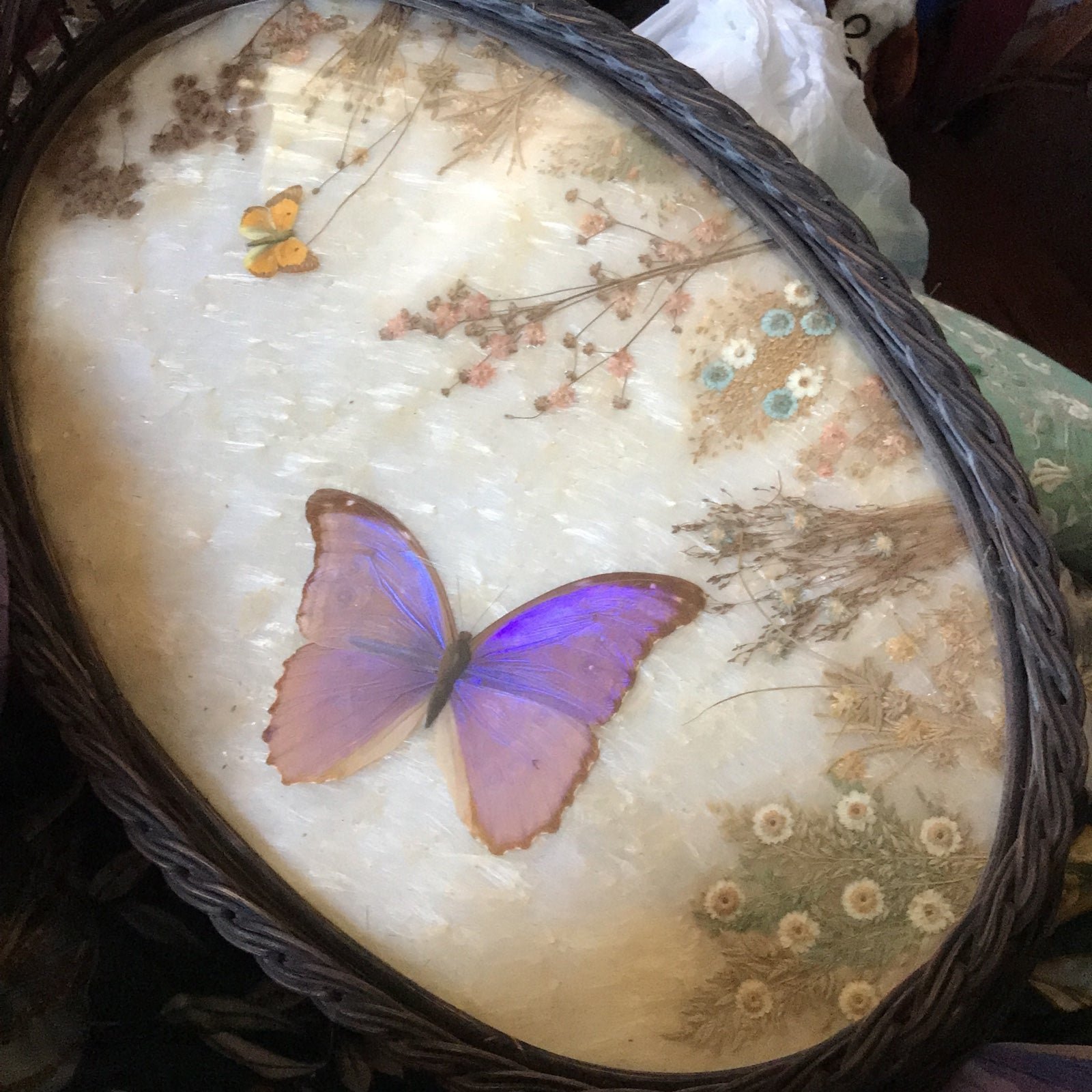 Wicker butterfly Tray vtg glass blue morpho glass