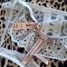 VS Lingerie Set (M/L,M) New