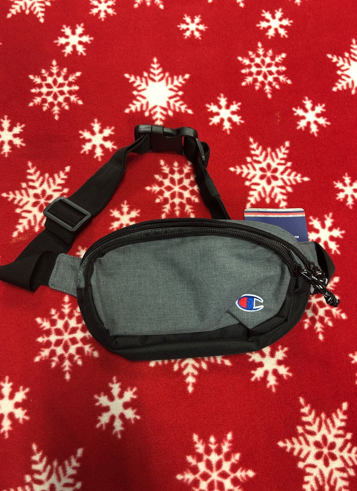 Champion Fanny Pack