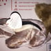 Ty Beanie Babies #4259 value Chipper