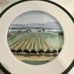 Williams-Sonoma SONOMA COUNTY Porcelain Plate Set of 6 rare beautiful bundle HTF