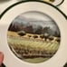Williams-Sonoma SONOMA COUNTY Porcelain Plate Set of 6 rare beautiful bundle HTF
