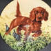 Dog plates