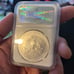 Silver ms 70 2013 early release