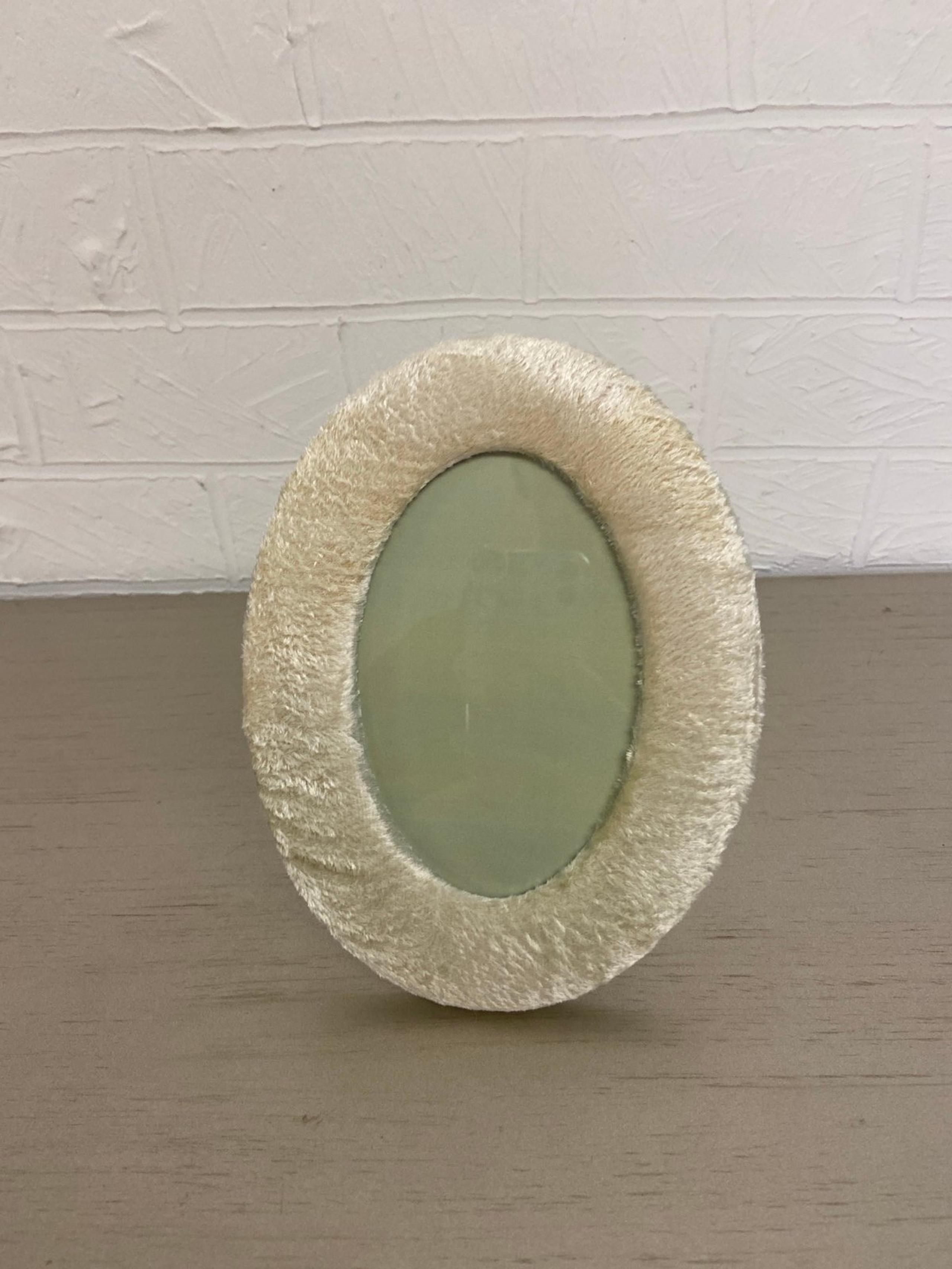 Anthropologie Picture Frame, Fuzzy Velour Shabby Look, Cottage, Oval Shape